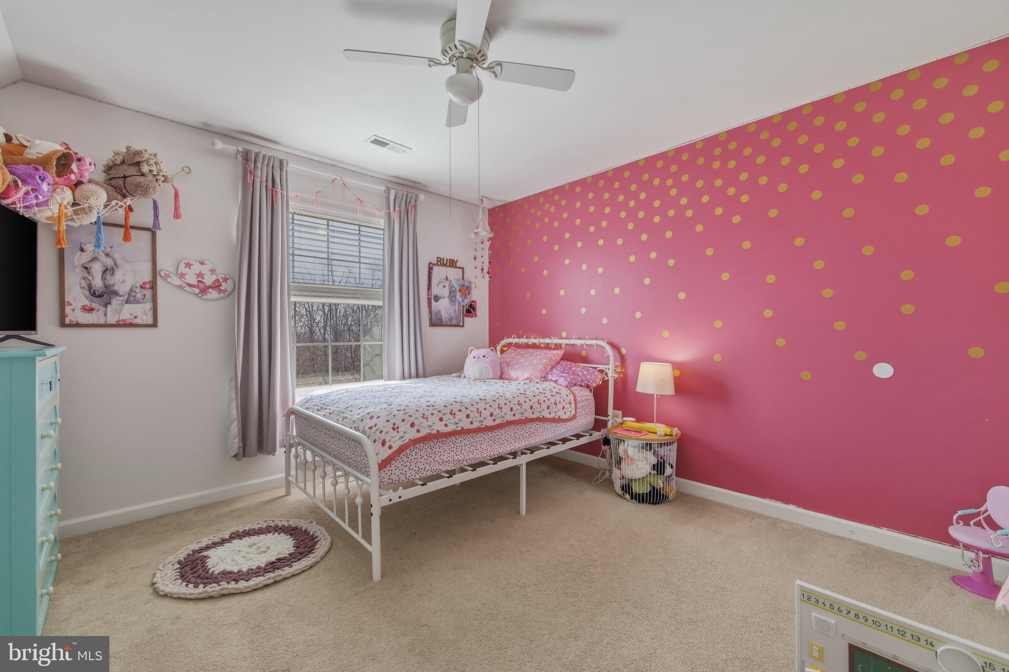 257 Hunter Road Maurertown, VA 22644 - Photo 39 of 61