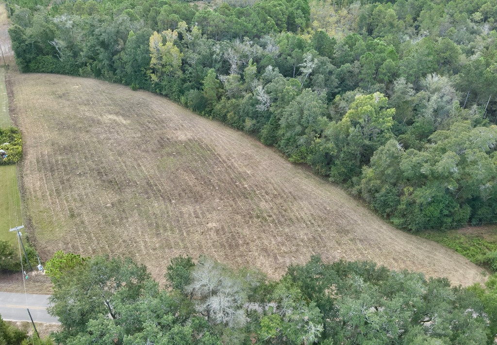 24-acres Mt Zion Road Gordon, AL 36343 - Photo 3 of 13