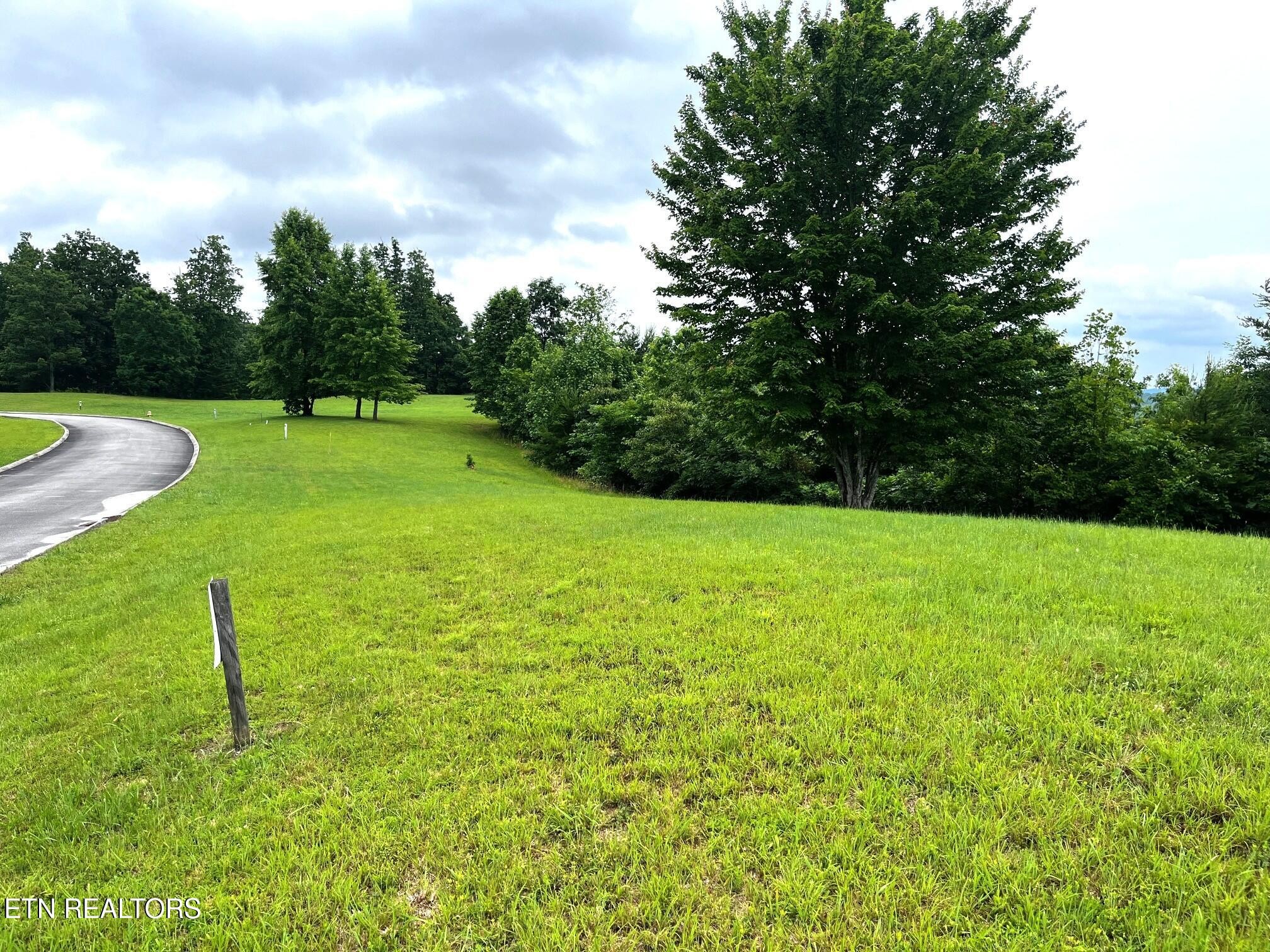 295 River Run Trail Spring City, TN 37381 - Photo 24 of 26