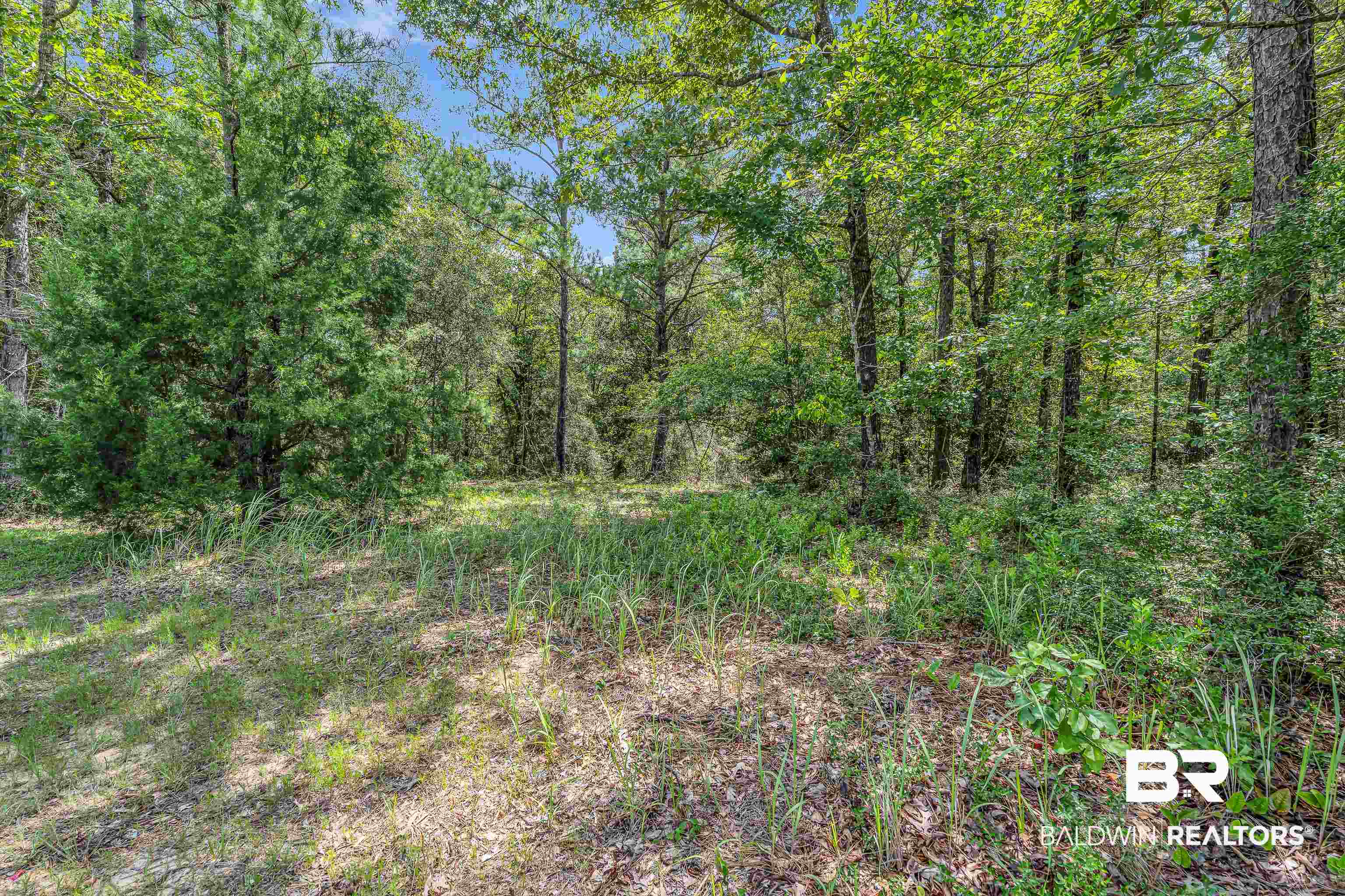 39 County Road 39 Stapleton, AL 36578 - Photo 5 of 16 View of tree filled area