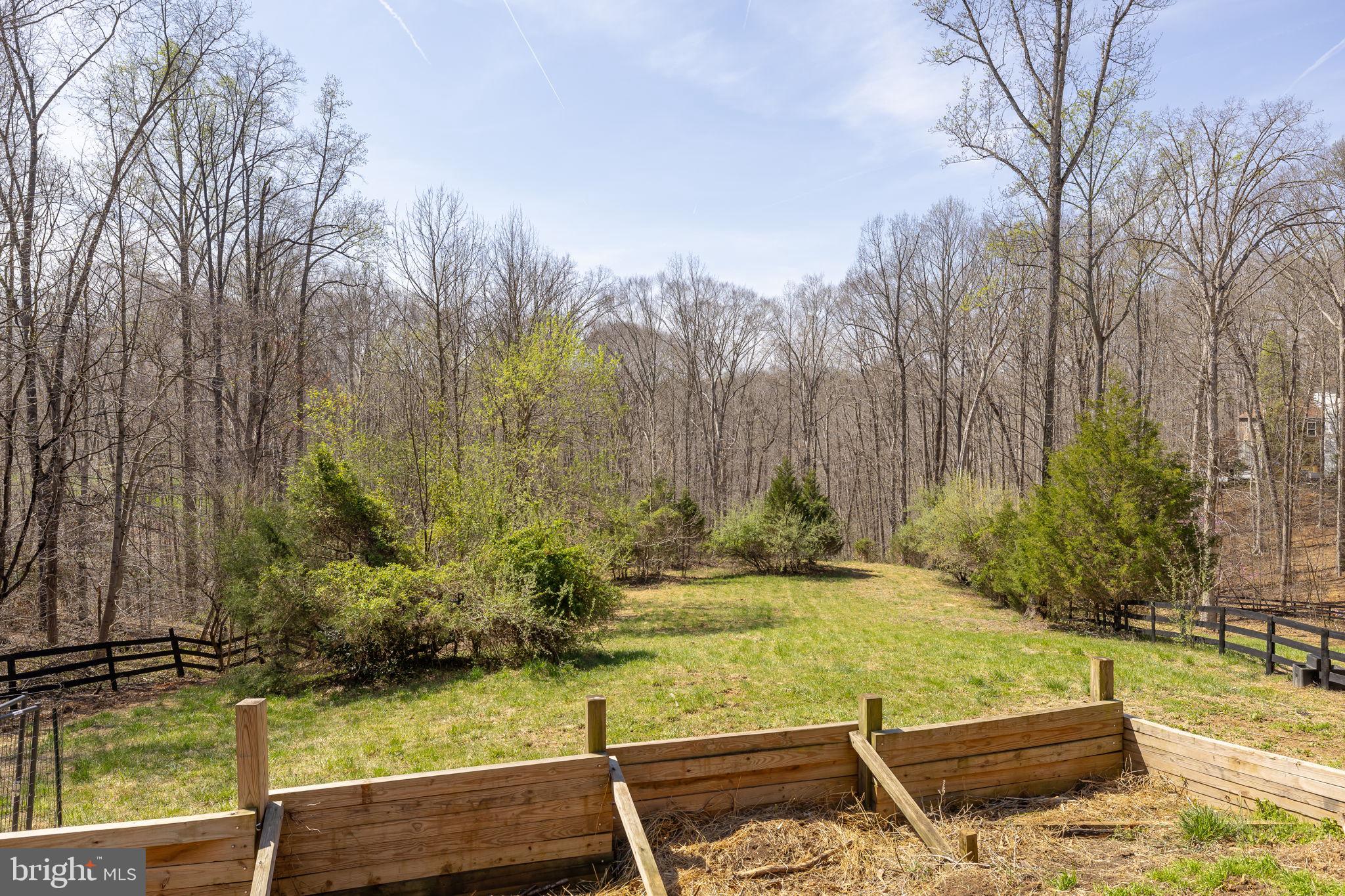 8701 Sinclair Mill Road Manassas, VA 20112 - Photo 100 of 132 pasture
