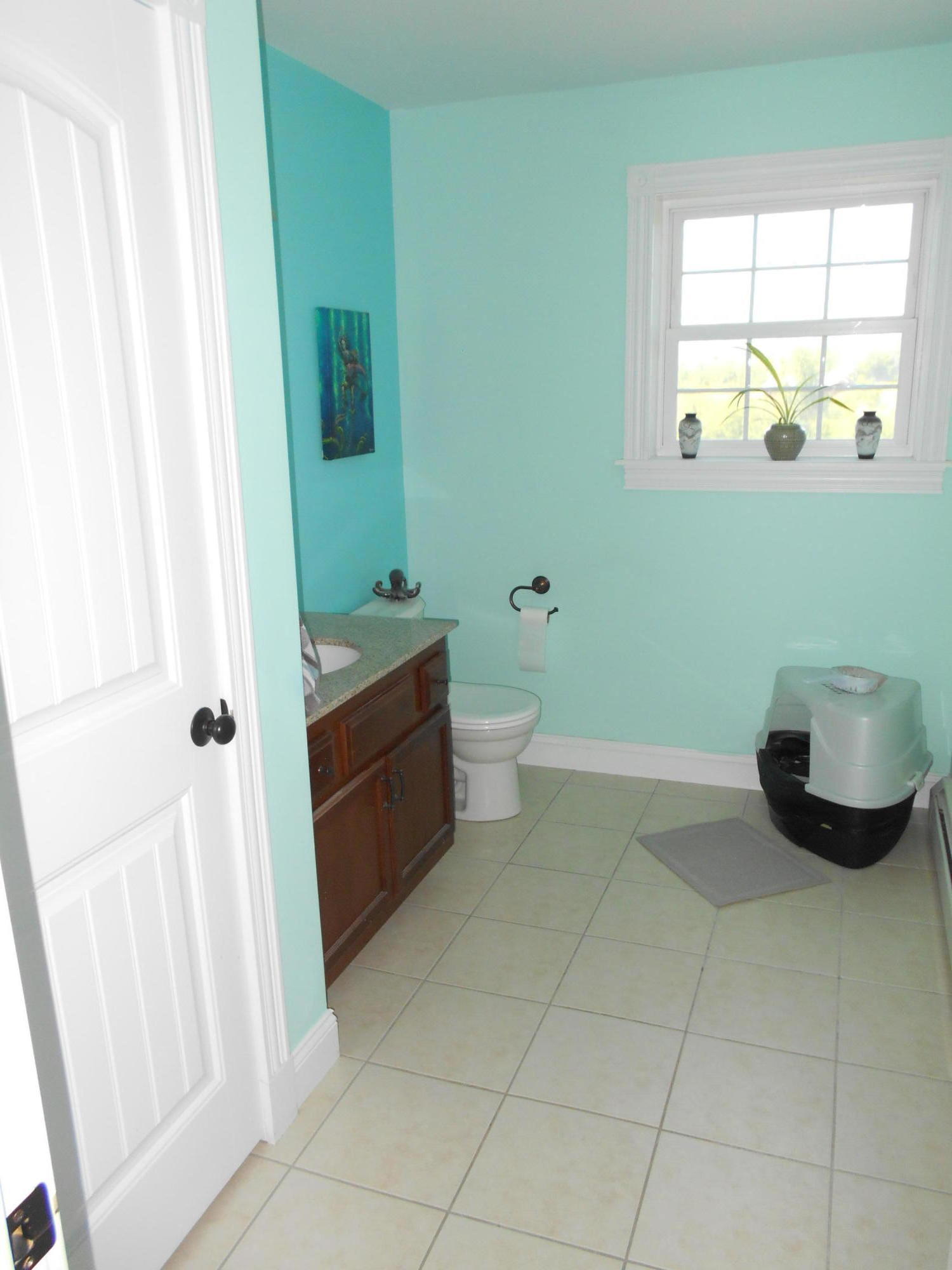 671 Newburgh Road Hermon, ME 04401 - Photo 59 of 66 DSCN5514