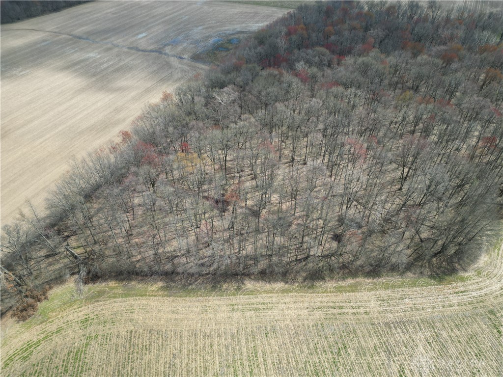 0 Ward-Koebel Road Oregonia, OH 45054 - Photo 4 of 10