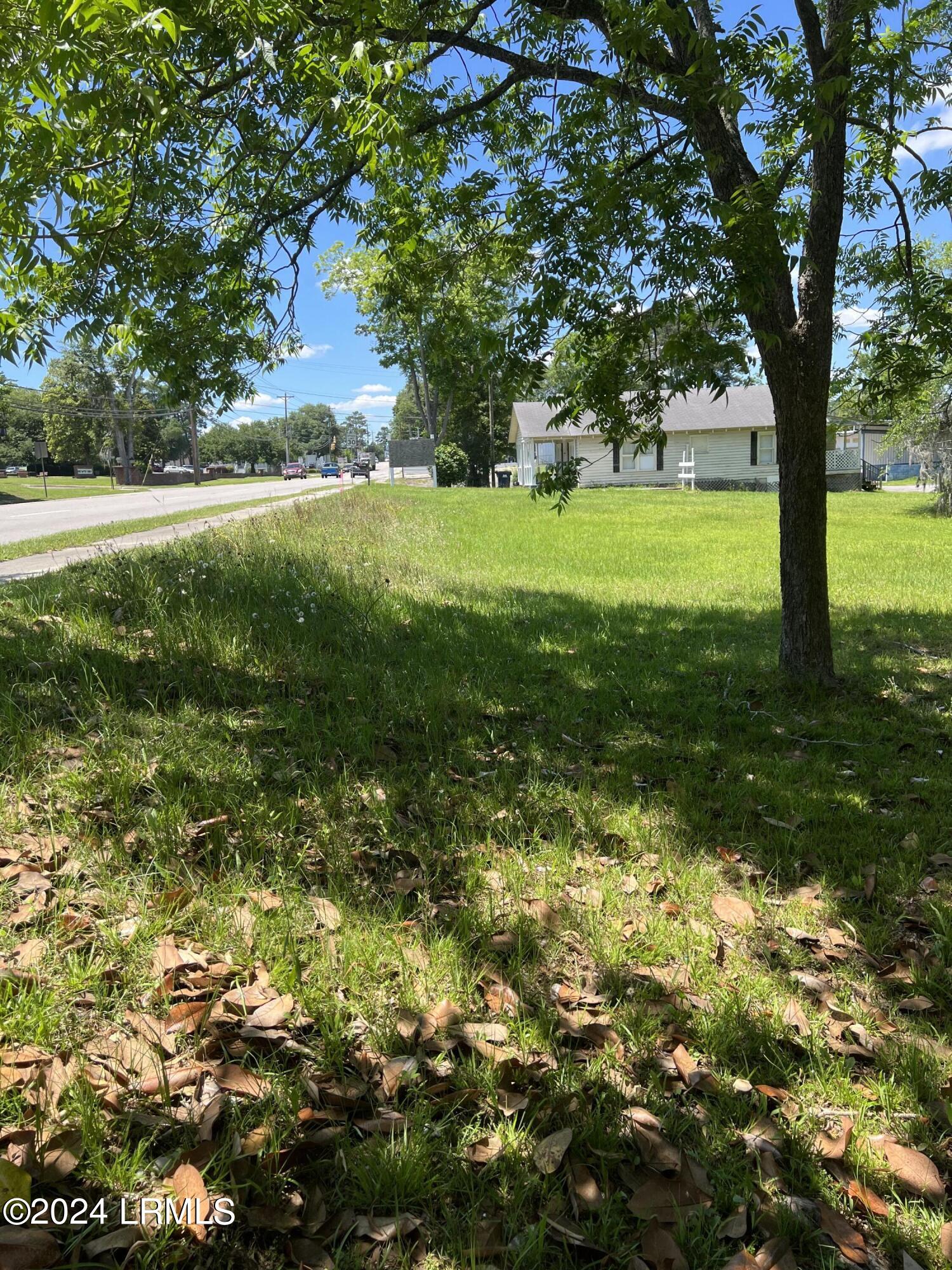 Tbd Elm Street East Hampton, SC 29924 - Photo 2 of 3 IMG_7431