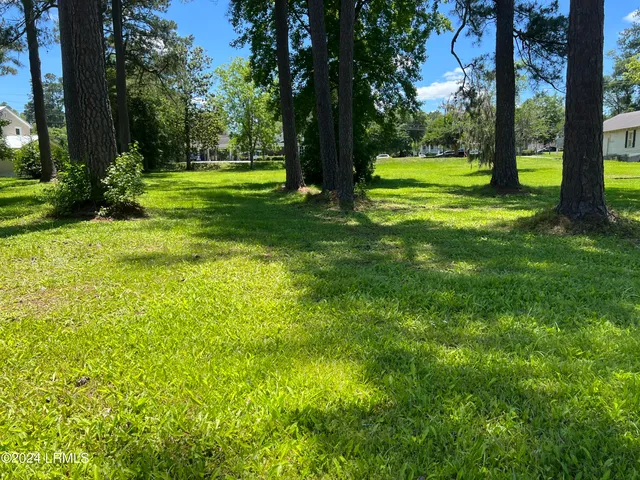 $40,000 | Tbd Elm Street East, Hampton, SC 29924