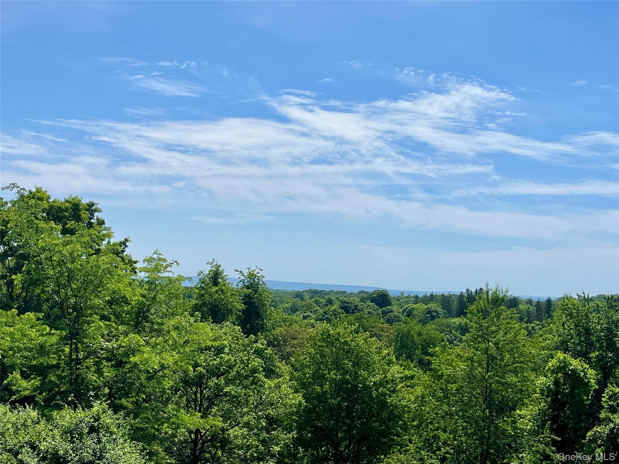 470 Ingrassia Road Middletown, NY 10940 - Photo 6 of 34