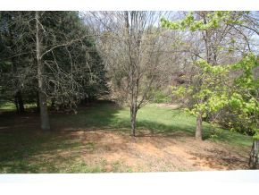 157 Spice Hollow Road Johnson City, TN 37604 - Photo 21 of 24 Back Yard
