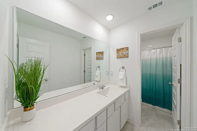 a bathroom with a sink a mirror and a potted plant