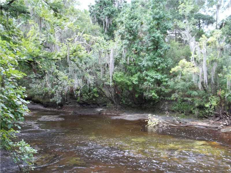 3366 Powerline Road Lithia, FL 33547 - Photo 1 of 1 Waterfront - VIEW ACROSS THE ALAFIA RIVER