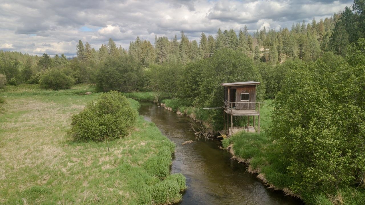 36019 North Milan Elk Road Chattaroy, WA 99003 - Photo 19 of 47