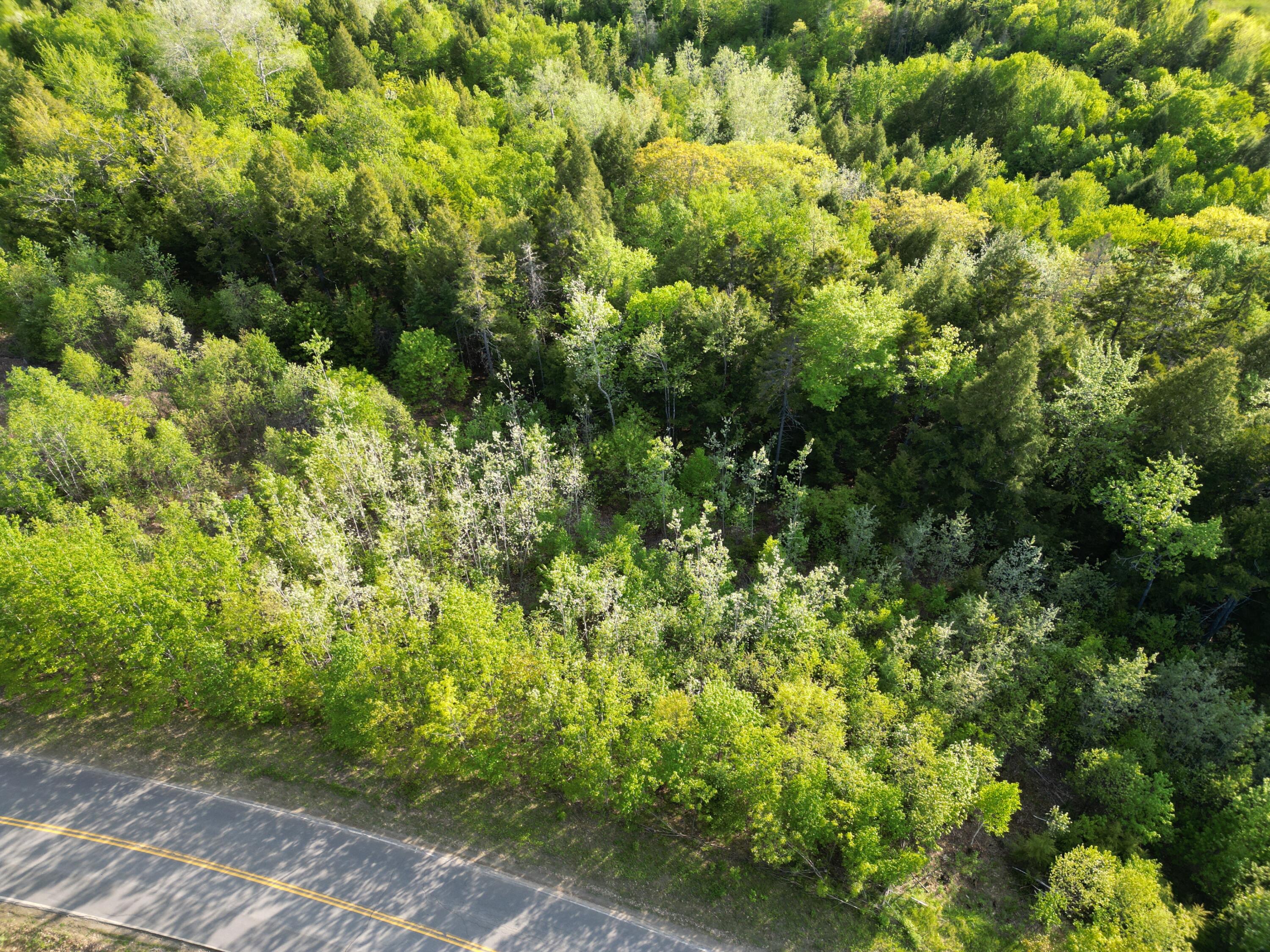 Lot 41-1 Bottle Lake Road Lakeville, ME 04487 - Photo 16 of 23 DJI_0615