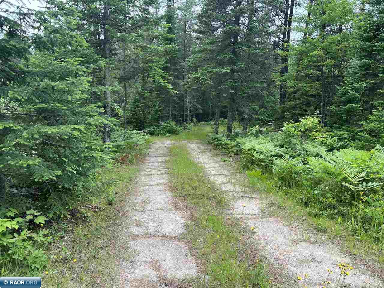 Tbd East Tbd E Rd/murray Road Side Lake, MN 55781 - Photo 2 of 21