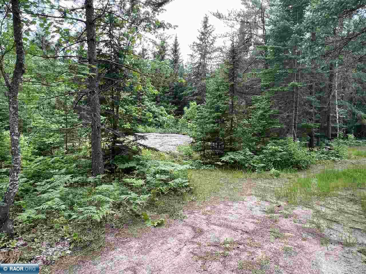 Tbd East Tbd E Rd/murray Road Side Lake, MN 55781 - Photo 21 of 21