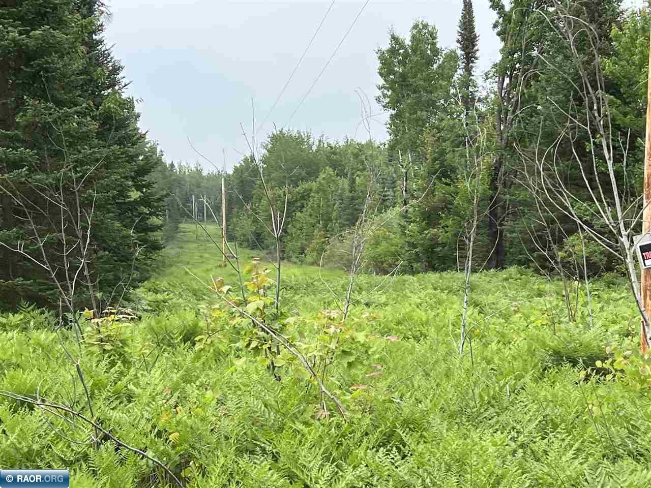 Tbd East Tbd E Rd/murray Road Side Lake, MN 55781 - Photo 4 of 21