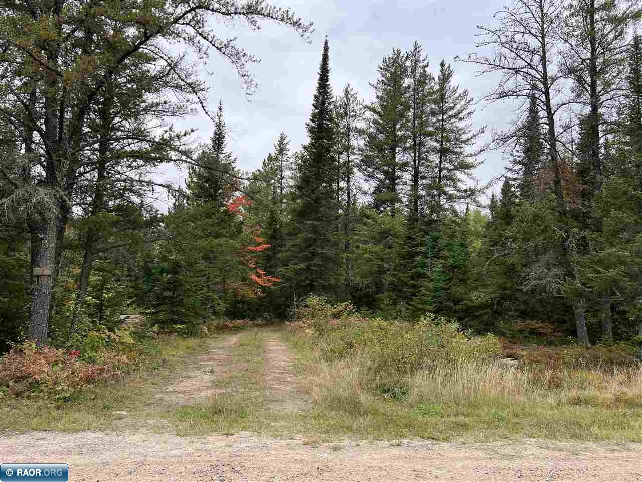 Tbd East Tbd E Rd/murray Road Side Lake, MN 55781 - Photo 6 of 21