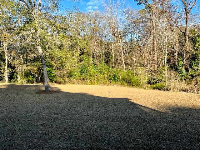 710 Spark Street Mount Pleasant, SC 29464 - Photo 33 of 33 710 Spark-37