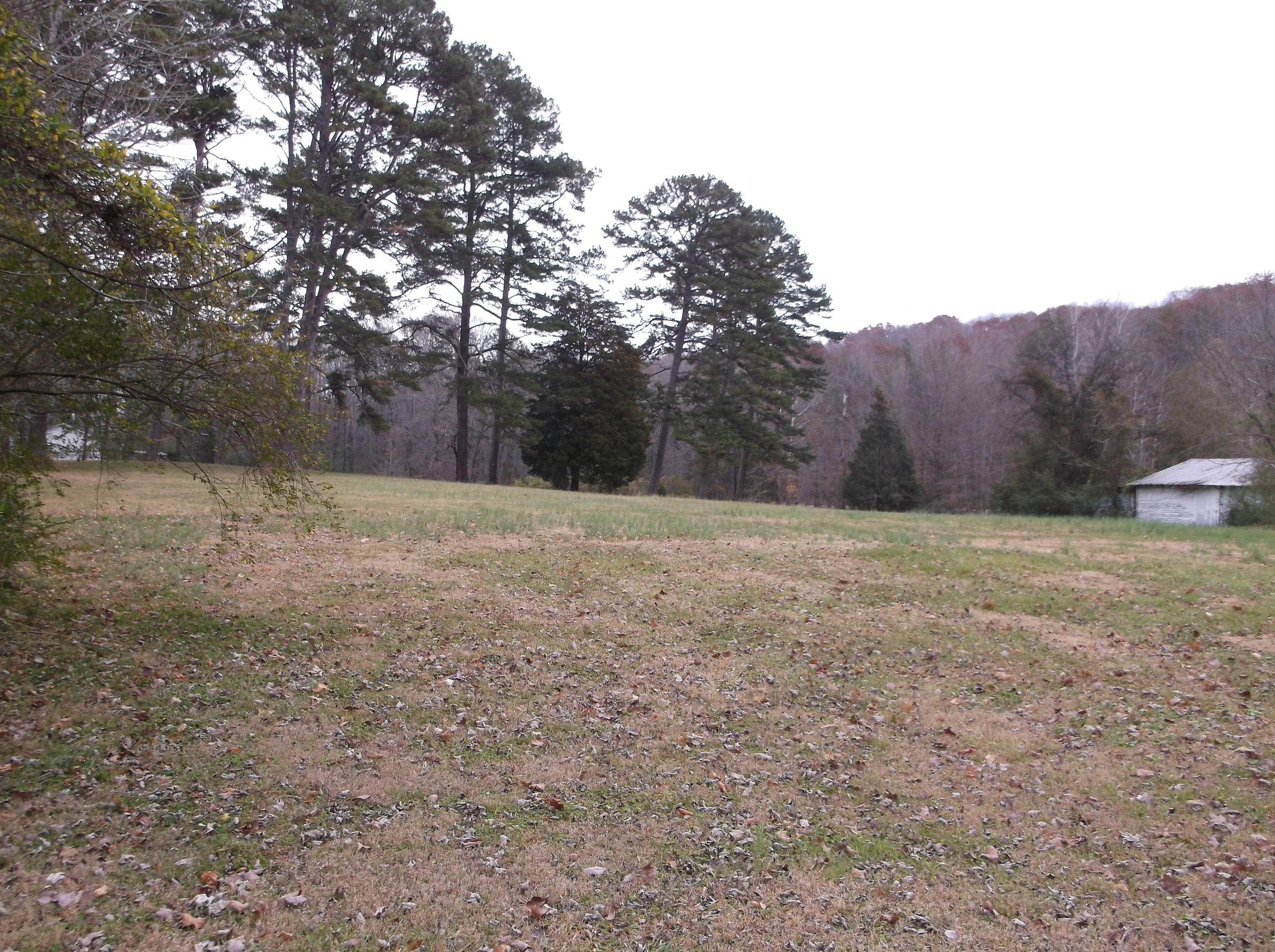 305 Pine Ridge Road Harriman, TN 37748 - Photo 6 of 7 DSCF0939