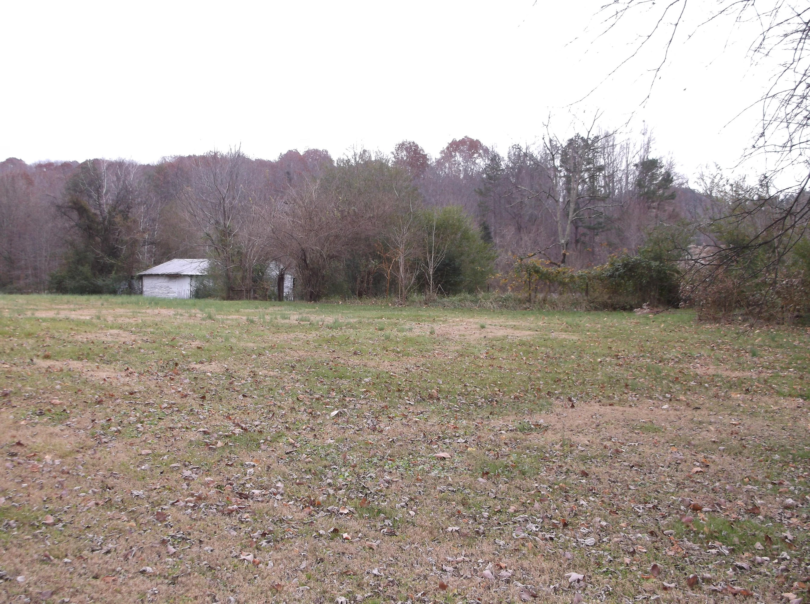 305 Pine Ridge Road Harriman, TN 37748 - Photo 7 of 7 DSCF0940