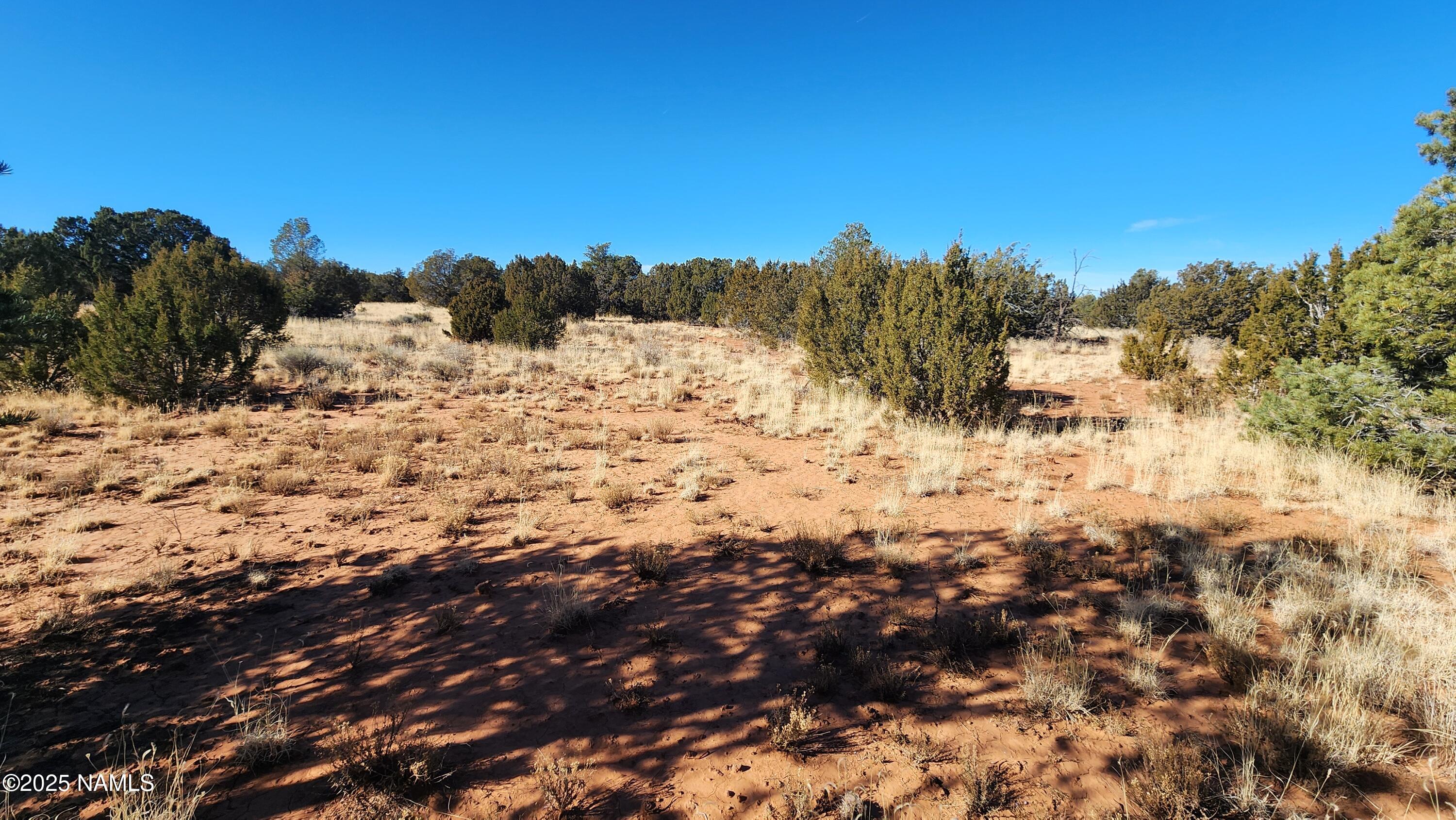 3372 East Valencia Road Williams, AZ 86046 - Photo 13 of 34 1000023823