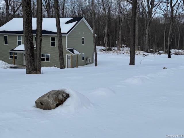 11 Alexandra Matthews Road, Unit B Wallkill, NY 12589 - Photo 2 of 41 a view of a tiny house with snow on the road