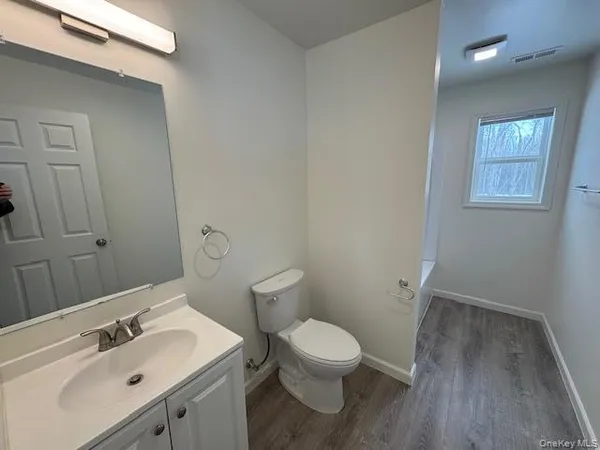a bathroom with a sink toilet and vanity