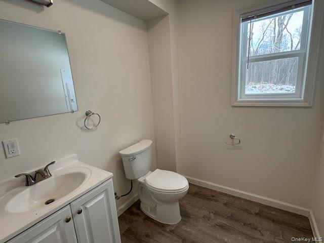 11 Alexandra Matthews Road, Unit B Wallkill, NY 12589 - Photo 27 of 41 a bathroom with a sink a toilet and a window