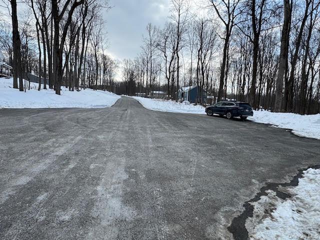 11 Alexandra Matthews Road, Unit B Wallkill, NY 12589 - Photo 32 of 41 a view of a backyard with large trees