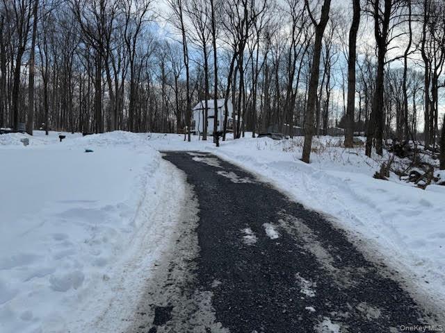 11 Alexandra Matthews Road, Unit B Wallkill, NY 12589 - Photo 33 of 41 a view of outdoor space with trees