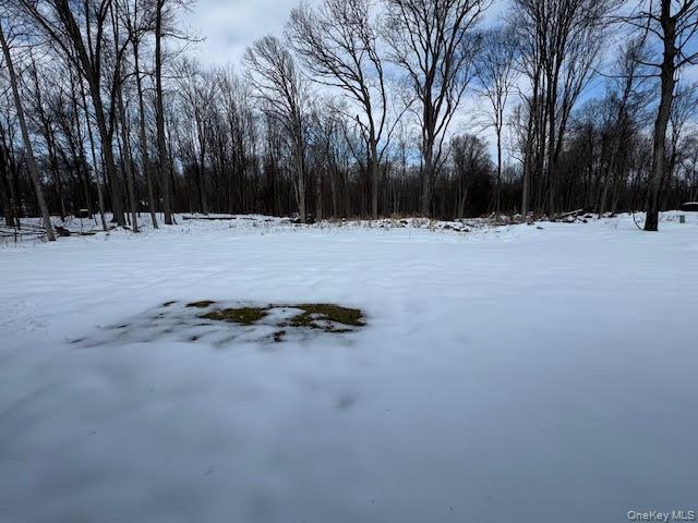 11 Alexandra Matthews Road, Unit B Wallkill, NY 12589 - Photo 34 of 41 Back yard.