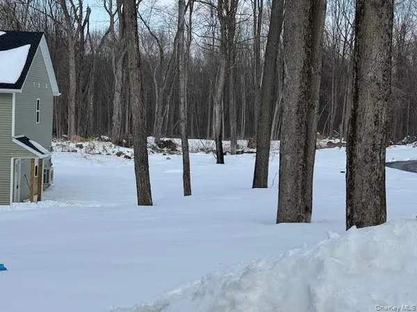 a backyard of a house with trees