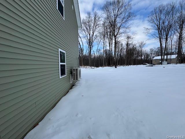 11 Alexandra Matthews Road, Unit B Wallkill, NY 12589 - Photo 36 of 41 a backyard of a house with trees