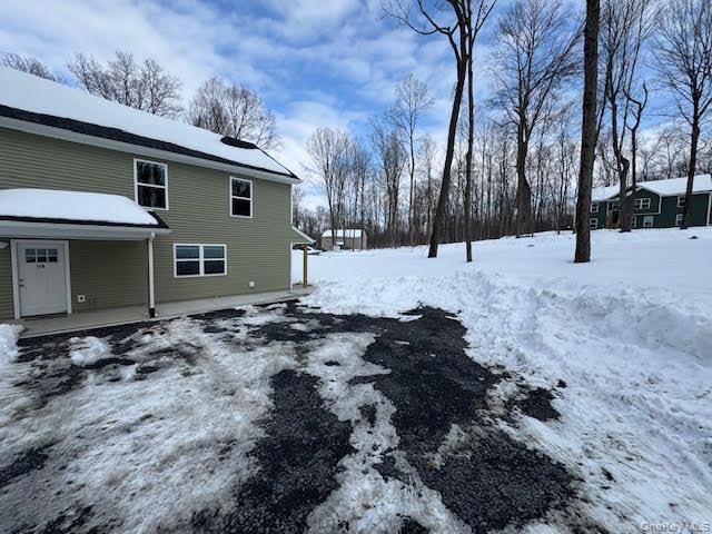 11 Alexandra Matthews Road, Unit B Wallkill, NY 12589 - Photo 39 of 41 a view of a yard covered in snow