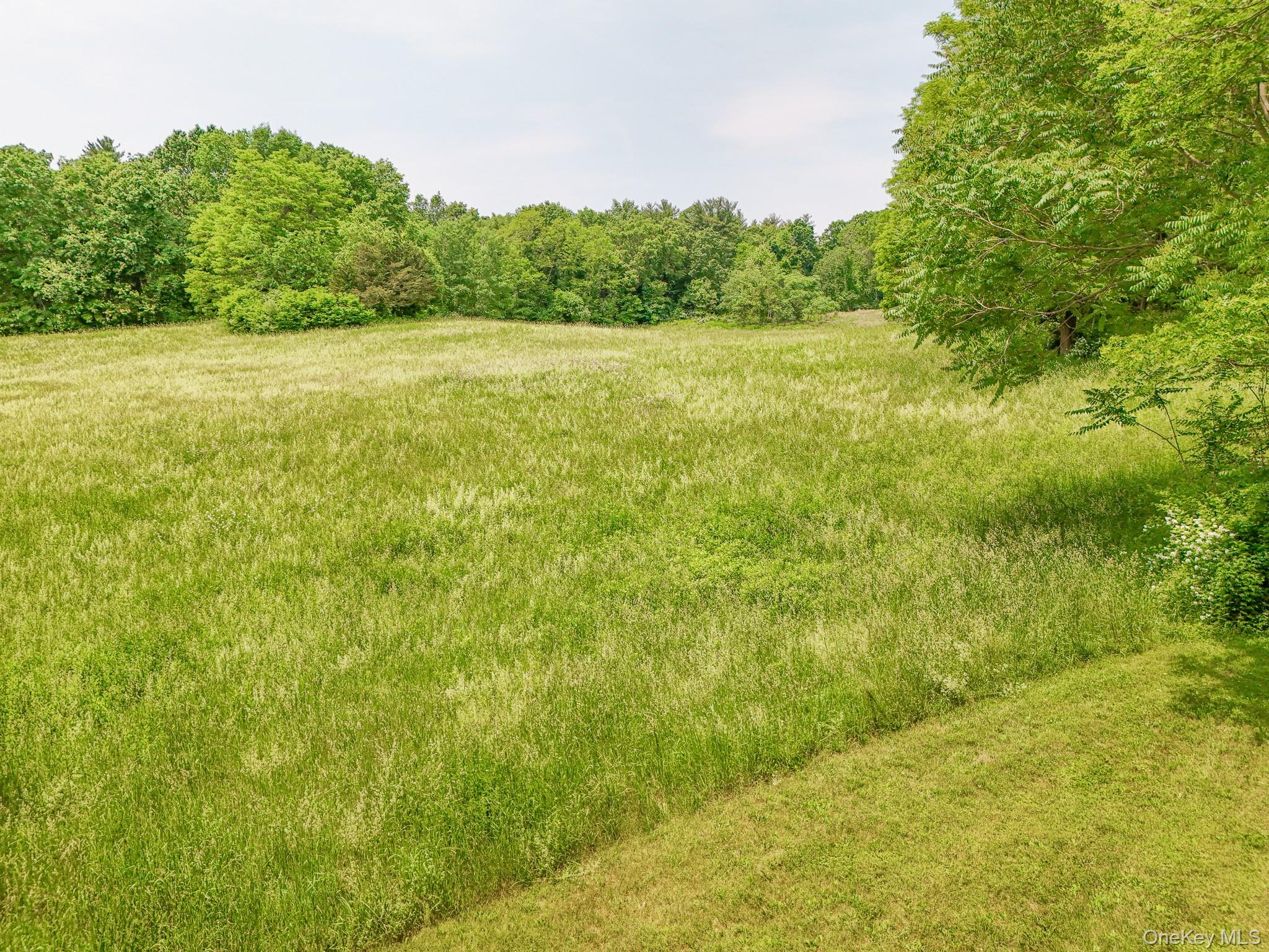 Off Pleasant Vale Road Tivoli, NY 12583 - Photo 2 of 9