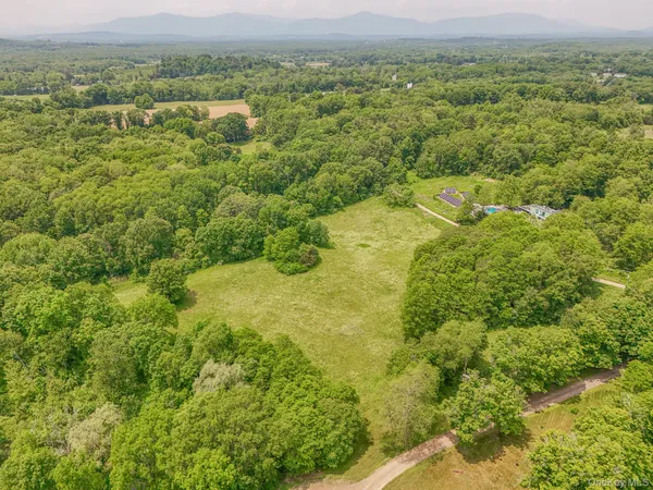 a view of a city with lush green forest