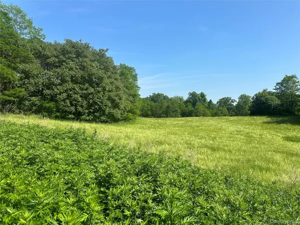 a view of outdoor space with deck and yard