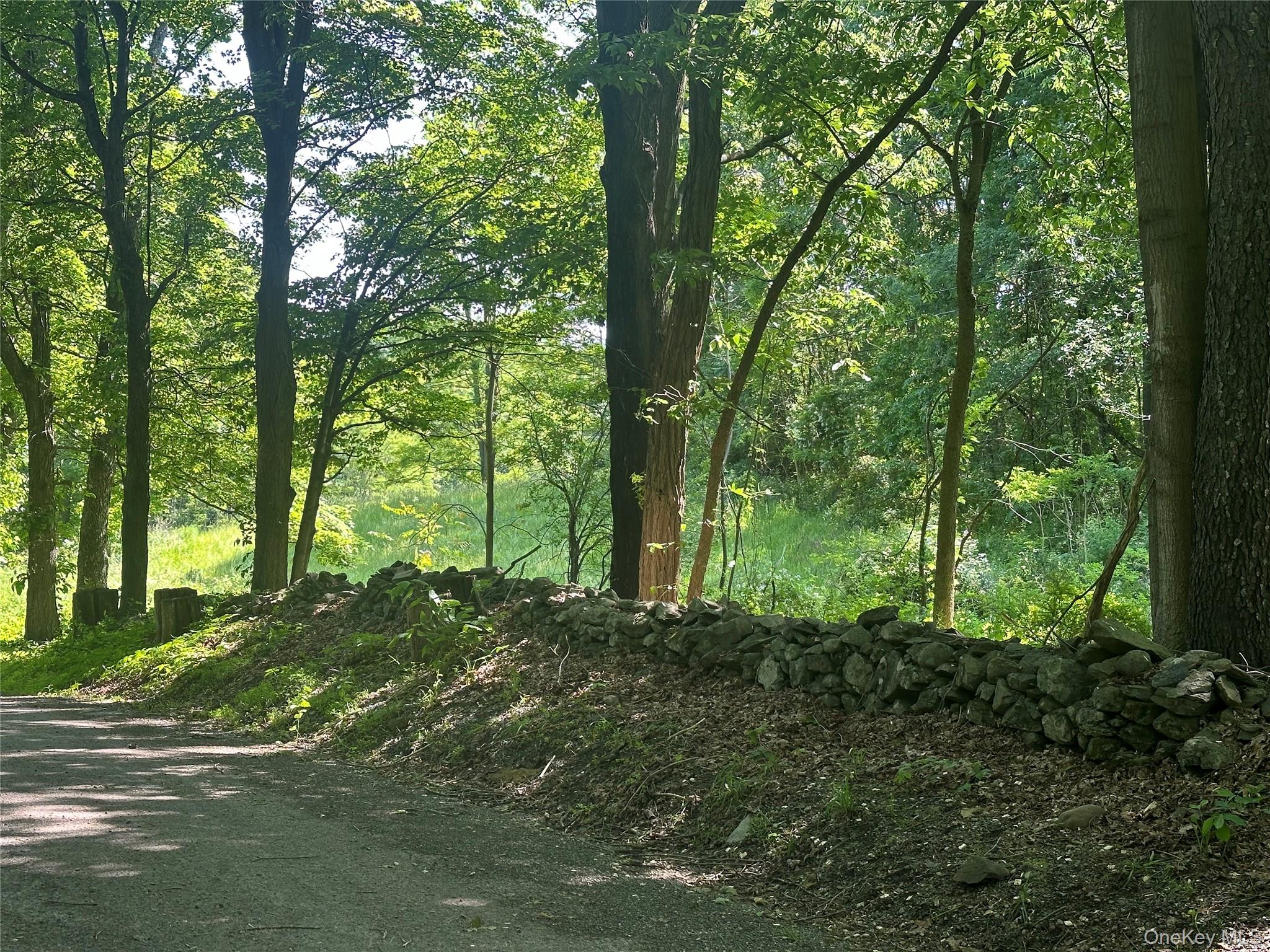 Off Pleasant Vale Road Tivoli, NY 12583 - Photo 6 of 9 Road frontage with rock wall