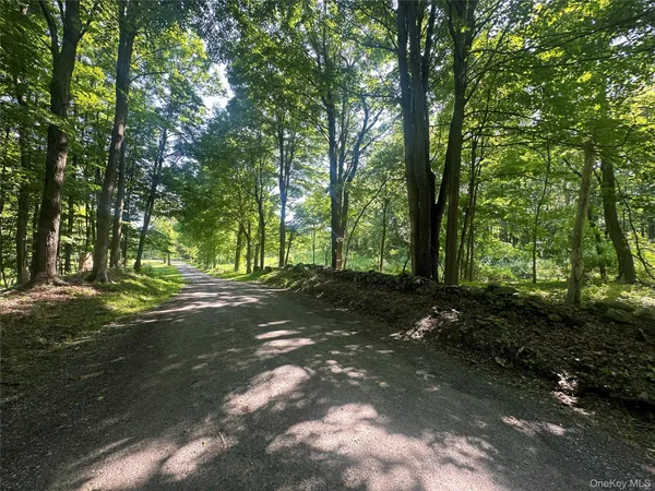 a view of a tree in the middle of a yard