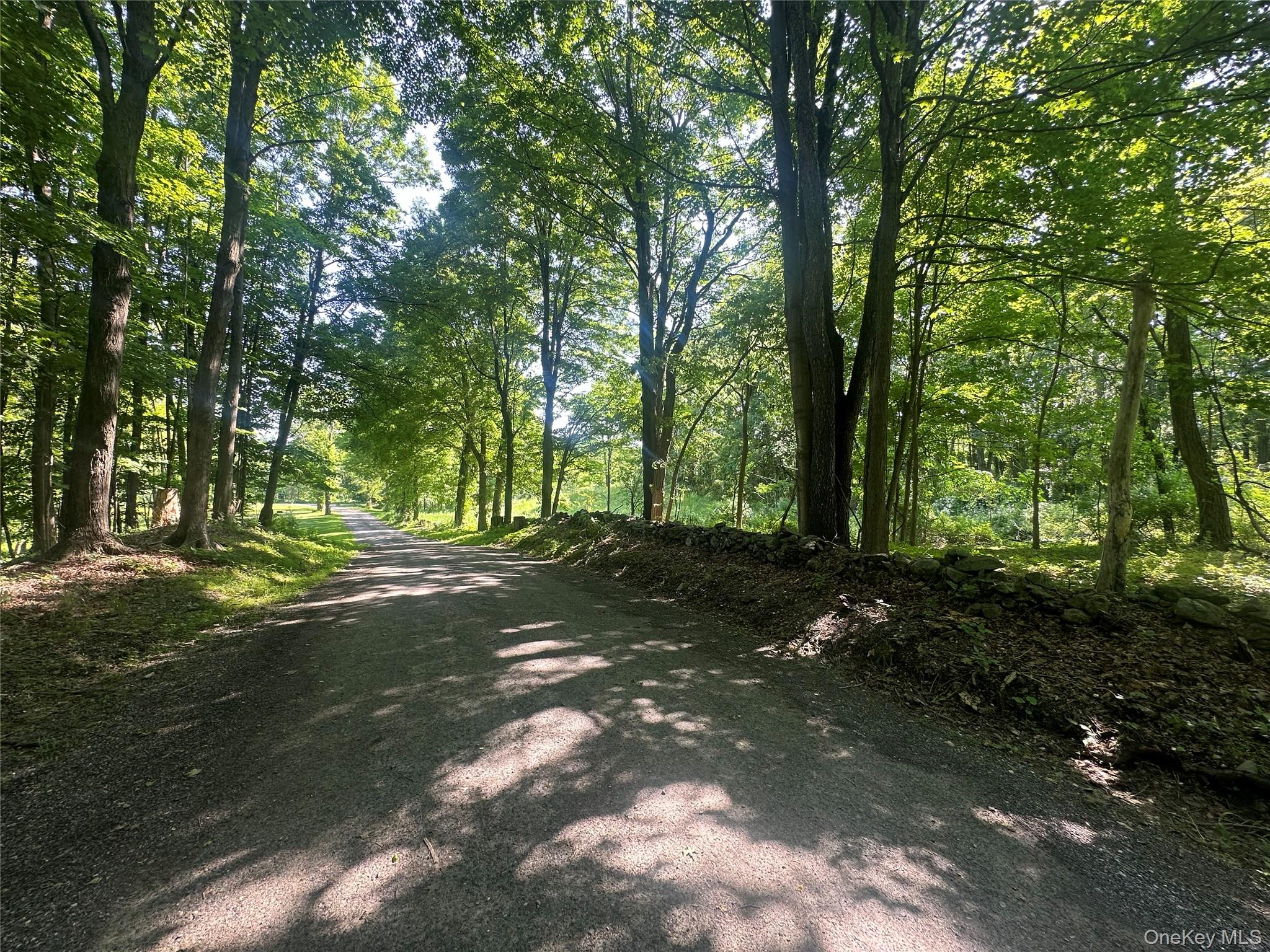 Off Pleasant Vale Road Tivoli, NY 12583 - Photo 7 of 9