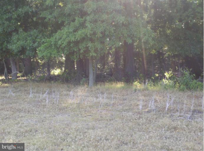 1504 Perrys Corner Road Queenstown, MD 21658 - Photo 2 of 6 Entire edge of field is woods adjacent to creek