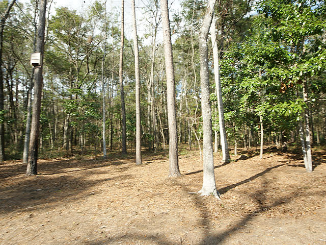 2640 Preserve Road Johns Island, SC 29455 - Photo 58 of 67 Preserve 58