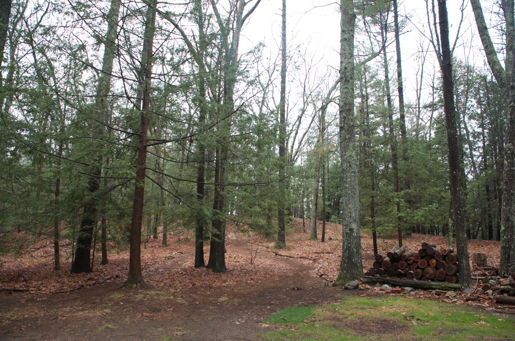 250 Heaths Bridge Road Concord, MA 01742 - Photo 6 of 25 Gallery Image 6