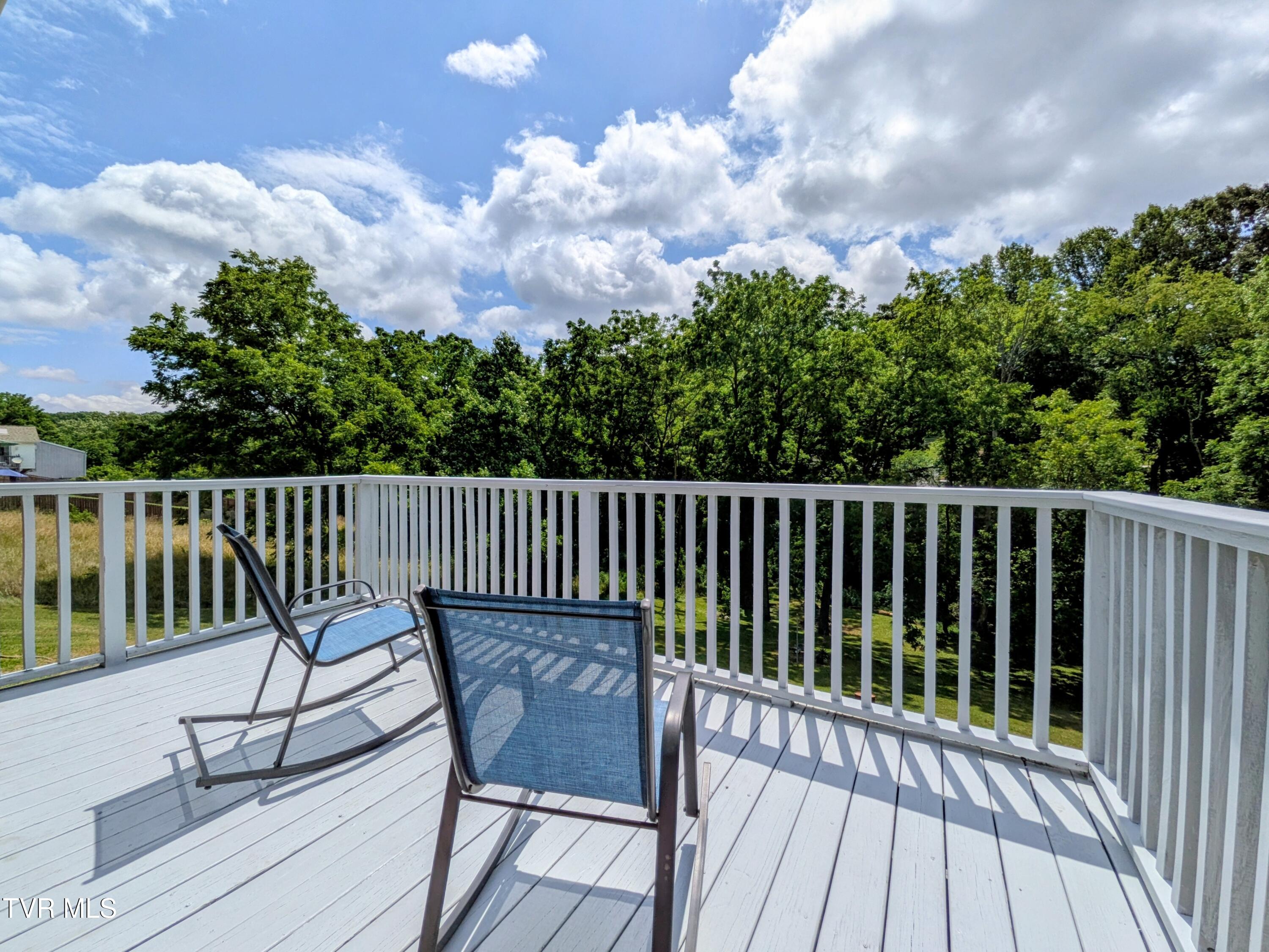 1129 Jackson Hollow Road Kingsport, TN 37663 - Photo 46 of 59 Backdeck
