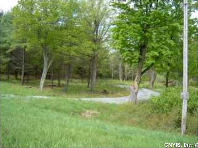 121 Milsap Road Hammond, NY 13646 - Photo 1 of 1 Land