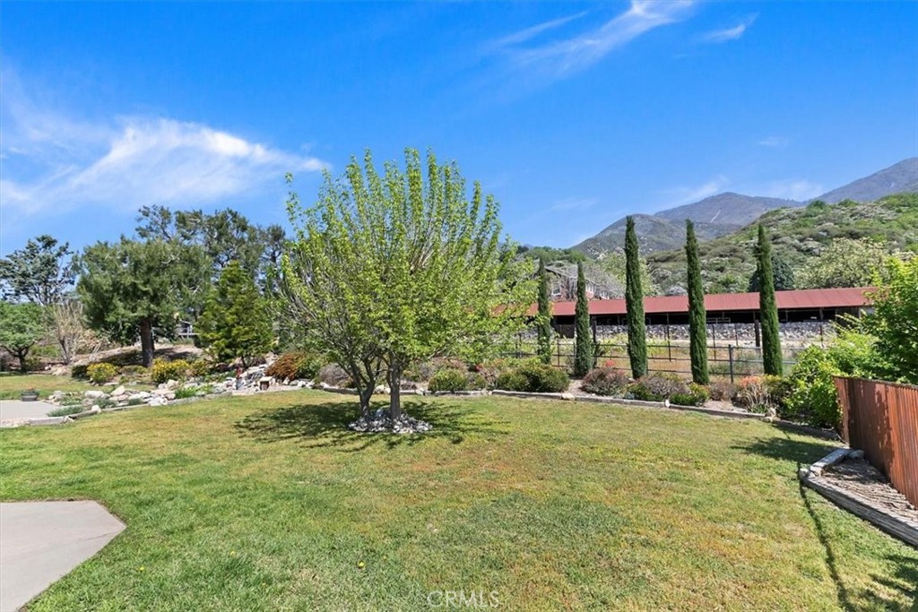 923 Devore Road San Bernardino, CA 92407 - Photo 50 of 75 a view of a garden with a building in the background
