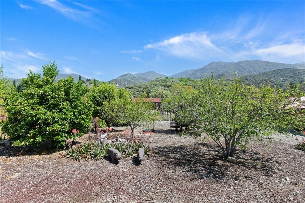 923 Devore Road San Bernardino, CA 92407 - Photo 54 of 75