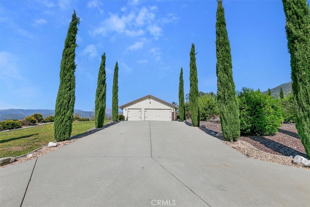 923 Devore Road San Bernardino, CA 92407 - Photo 6 of 75 a view of a house with palm trees next to a road