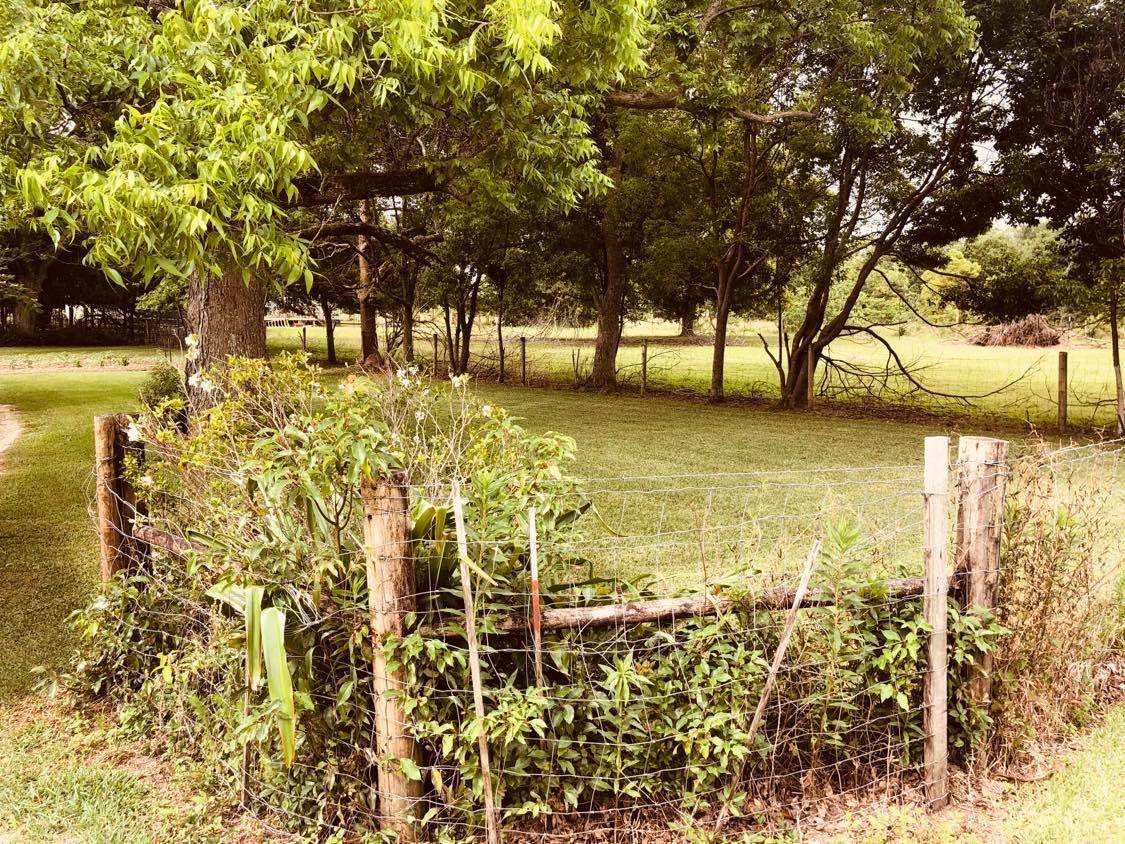 20476 Dubose Road Summerdale, AL 36580 - Photo 4 of 7