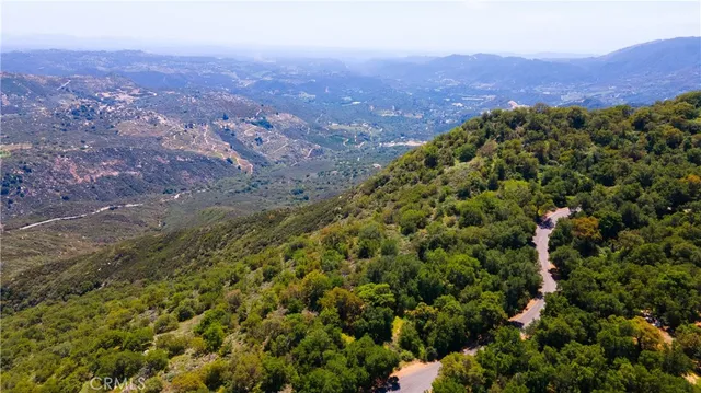 a view of a city with lush green forest