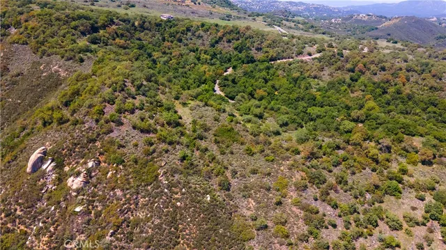a view of a lush green field with a mountain in the background