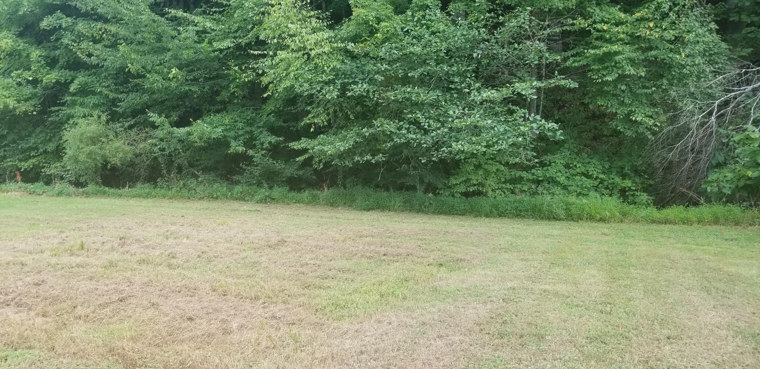 4721 Yuma Road Gate City, VA 24251 - Photo 8 of 25 20200827_172411